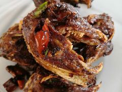 -汇成兔子头店(沂水特色店)