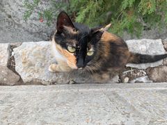 -青州市云门山风景区