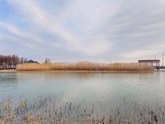 -苏州太湖湖滨国家湿地公园