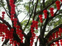 -人民公园(罗湖区)