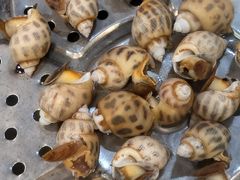 -海大大蒸汽海鲜餐厅·粤菜·特色小炒(欢乐颂店)