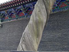 -关林