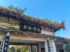 -西湖游船
