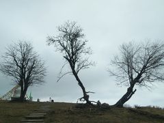 -硗碛藏寨·神木垒景区