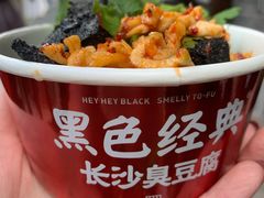 -黑色经典臭豆腐·湖南特产(坡子街特产局店)