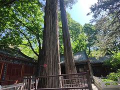 -潭柘寺景区
