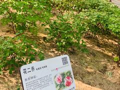 -仁和公园(顺义区)