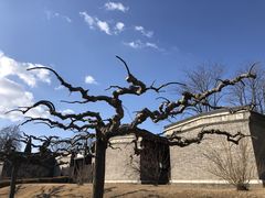 -老龙头景区