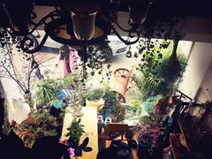 -参差咖啡(水果湖公园店)