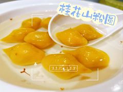 -新楚记