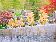 -宁波浙东大竹海景区