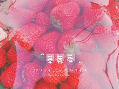 -江杨农产品批发市场