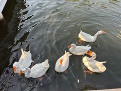 -黄陂区野村谷景区