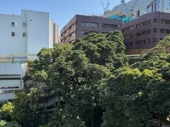 -香港大学