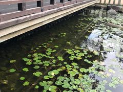 -城崎温泉 外七汤