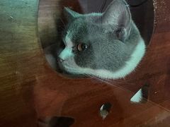 -抱暴龙爬宠·异宠·撸宠撸爬主题馆(大学路店)