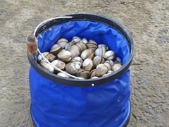 -启东黄金海滩景区