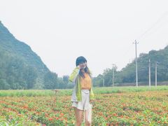 -白河湾生态旅游一条川