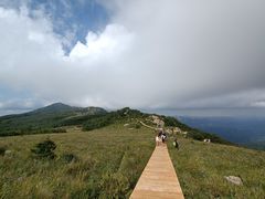 -白草畔自然风景区