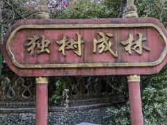 -瑞丽独树成林风景区