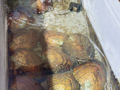 -十八字金·银饰·拼豆·开蚌DIY(魏公芳华里店)