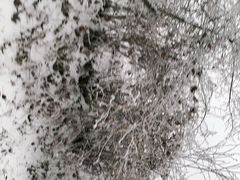 -太子岭滑雪场