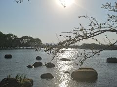 -石家庄市植物园