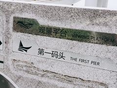 -演武大桥观景平台