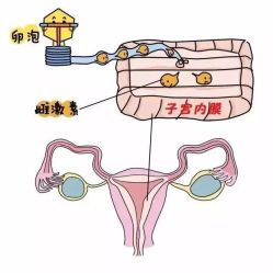 -邢台妇产医院