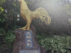 -海口火山口国家地质公园