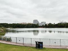 -美兰湖景区