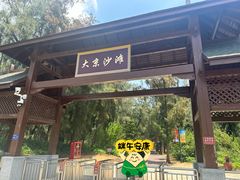 -大京沙滩