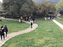 -白马涧龙池景区