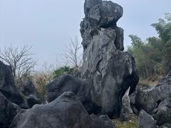 -千岛湖石林