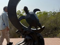 -广东惠东海龟国家级自然保护区