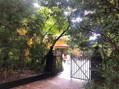 -三鹰之森吉卜力美术馆