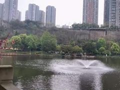 -重庆彩云湖湿地公园