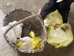 -马陆小张葡萄园农家乐