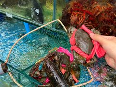 -牟记江湖重庆地标特色菜鱼蛋海鲜无刺鲫鱼(巴南区黑金冠十多年好店)
