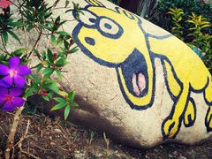 -合肥滨湖国家森林公园