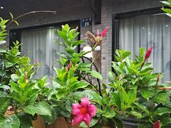 -素描餐厅(灵隐天竺店)
