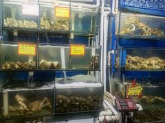 水产区-蚝专家(北滘店)