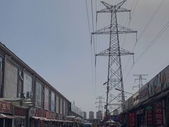 -中环花鸟鱼虫市场