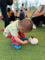 -萌宠亲子动物乐园(槐房万达店)