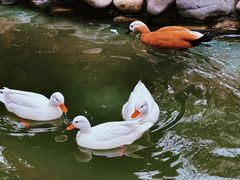 -北京野生动物园