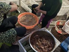 -金太粽(上海弄堂第一粽店)