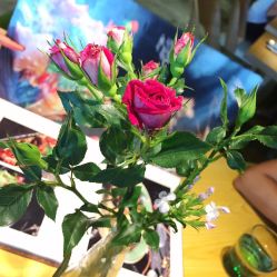 景观位-香草美匙