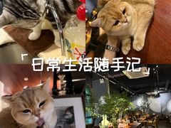 -咖法森林·咖啡  酒吧(天河店)