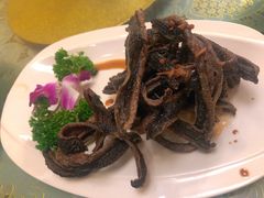 -新聚丰菜馆(太监弄店)