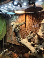 点击看大图 -酷嗒动物文化乐园(cutezoo西溪乐天城店)